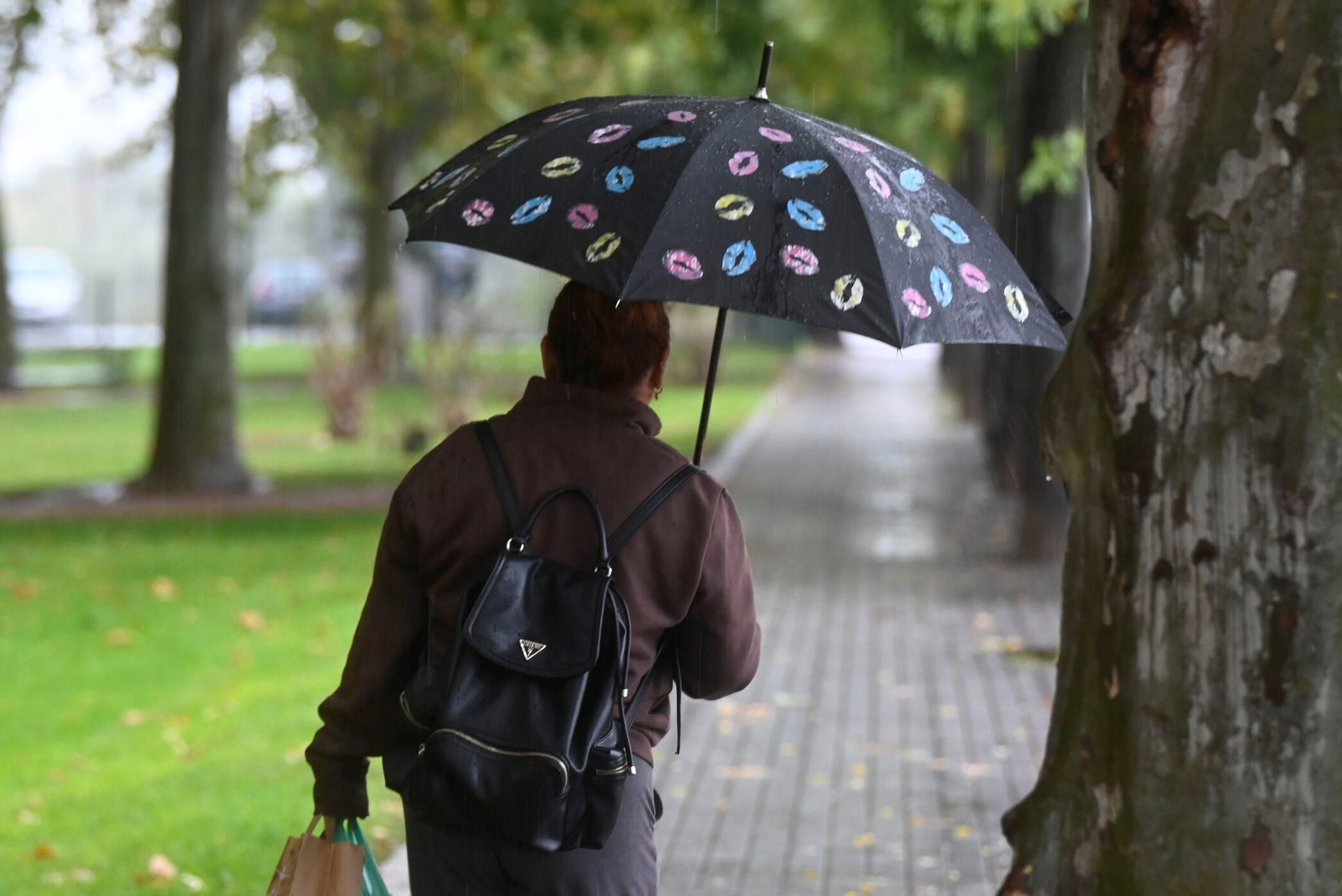 El paso de la borrasca Claudia por Córdoba en imágenes