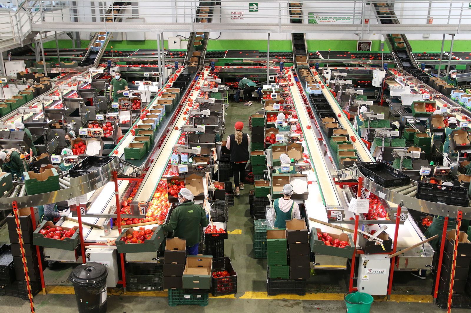 Instalaciones de Cabasc, perteneciente a Unica Group.