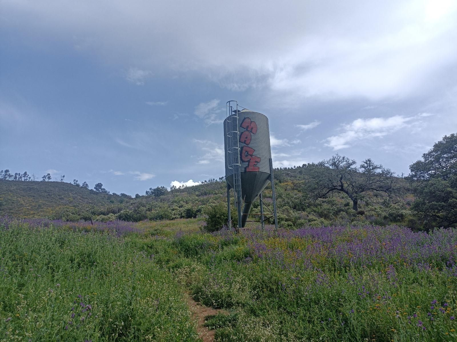 Las fotos de la ruta circular entre Aracena y Corteconcepción