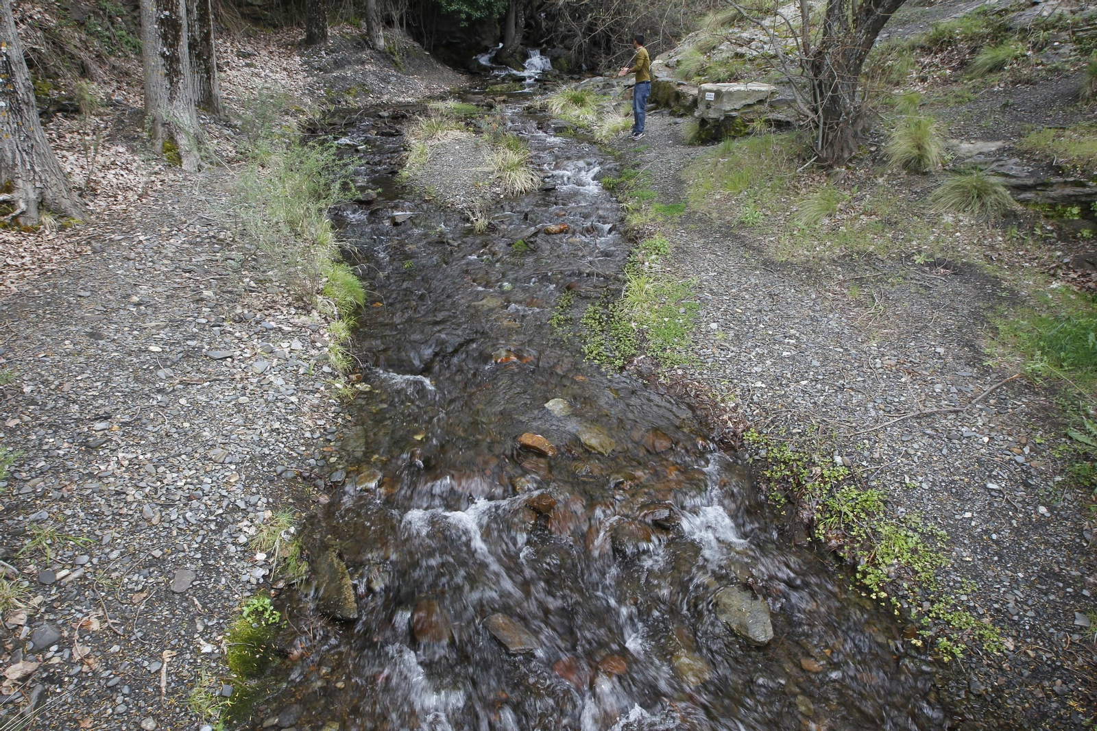 Naturaleza desconfinada. La Roza (Abrucena)