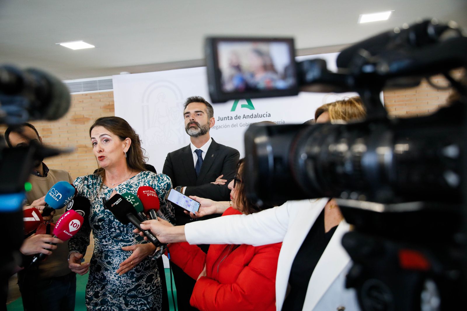 Imágenes de las entregas de las banderas de Andalucía