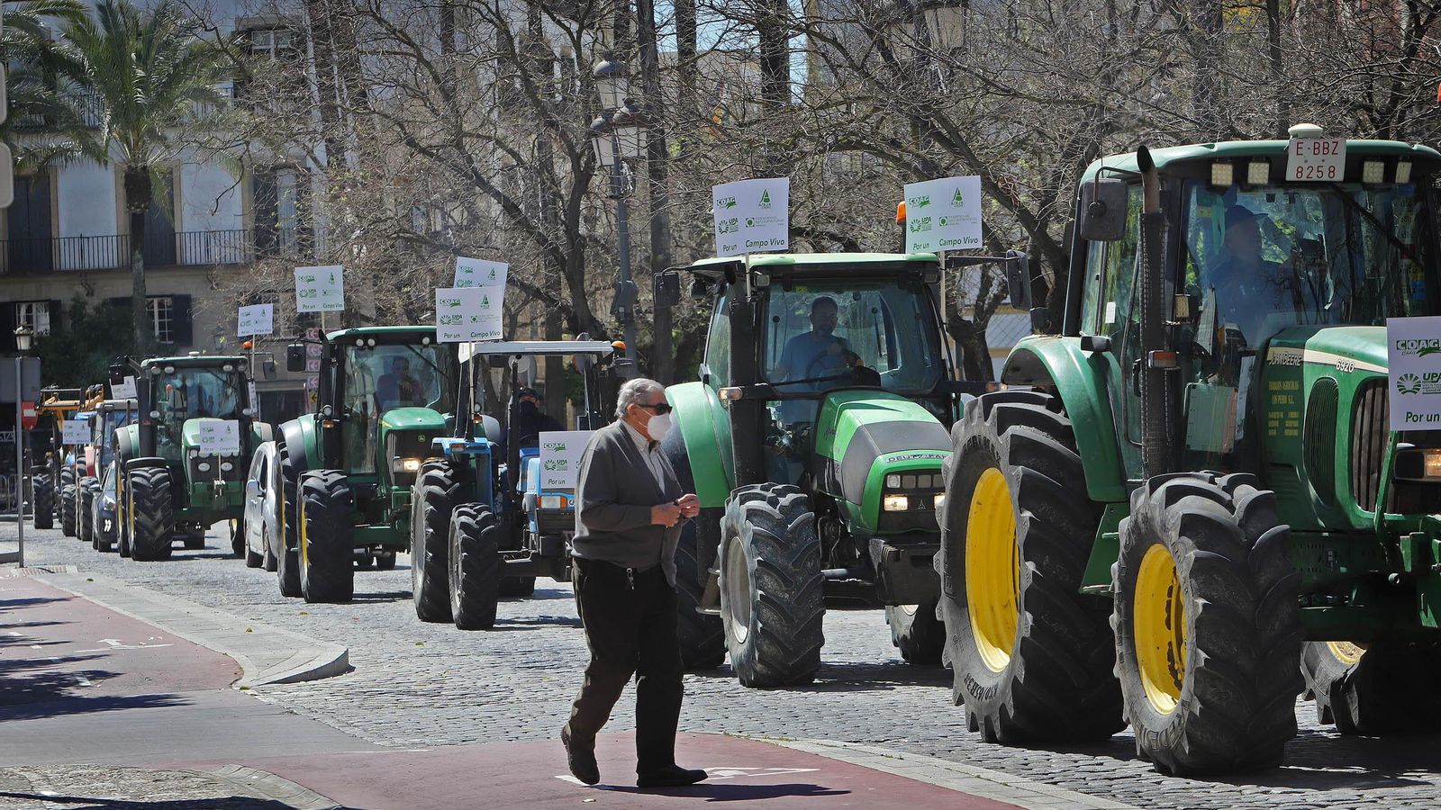 Un ciudadano observa el paso de la tractorada por la Alameda Cristina. Un ciudadano observa el paso de la tractorada por la Alameda Cristina.