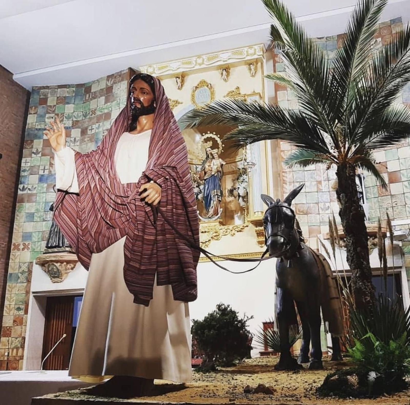 Borriquita sorprende con la disposición de su titular