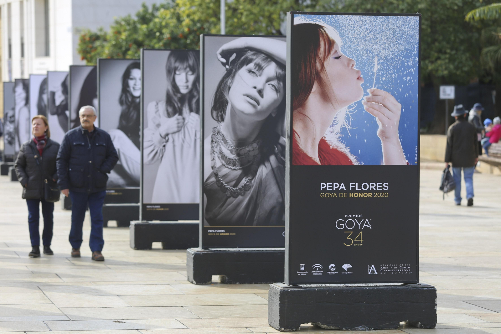 Las fotos de la exposición sobre Pepa Flores en los Goya en Málaga