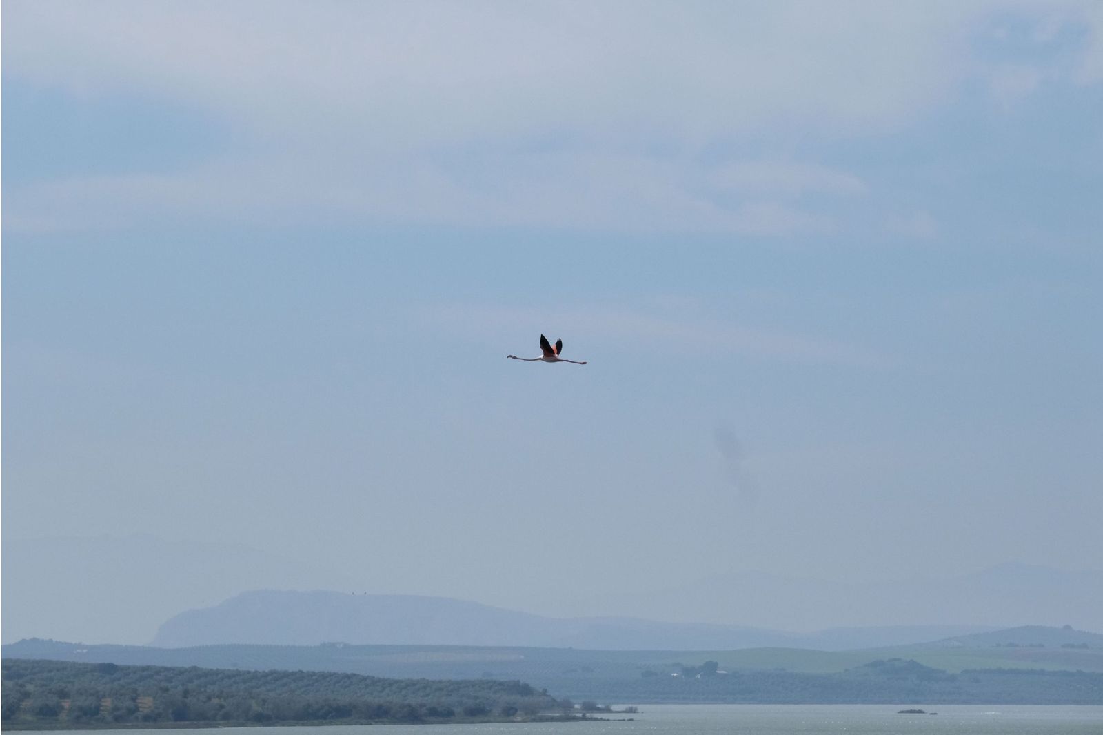 Las lluvias transforman el paisaje en el interior de Málaga, en imágenes