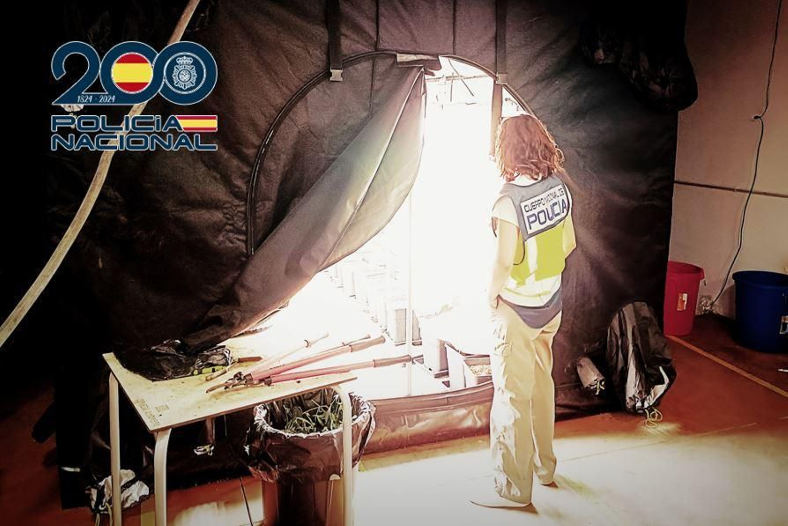 Imagen de archivo de un registro de la Policía Nacional a un cultivo de marihuana