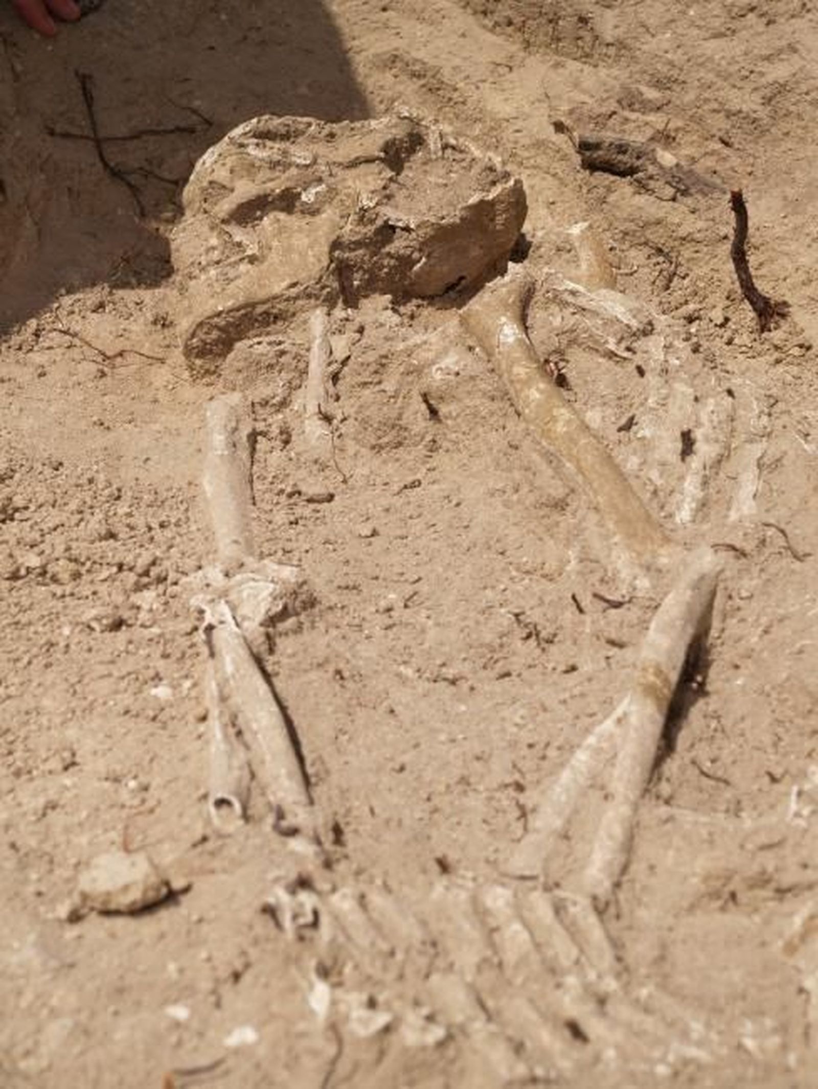 El individuo enterrado en el dolmen de Menga, en Antequera