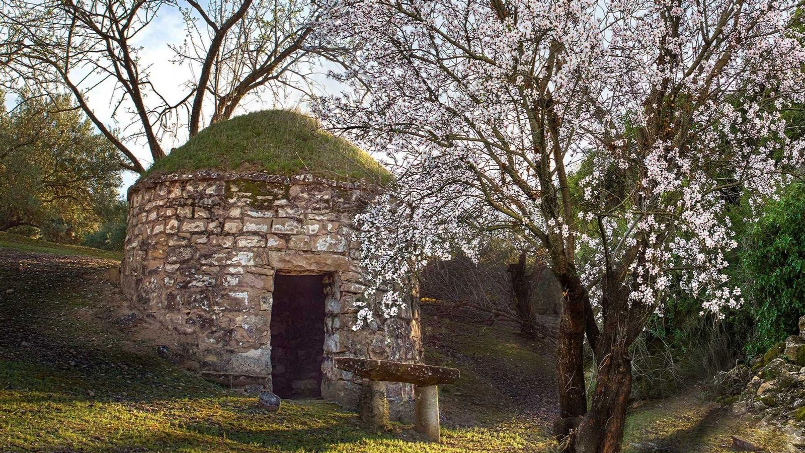 Uno de los muchos caracoles que puedes visitar en Rus.