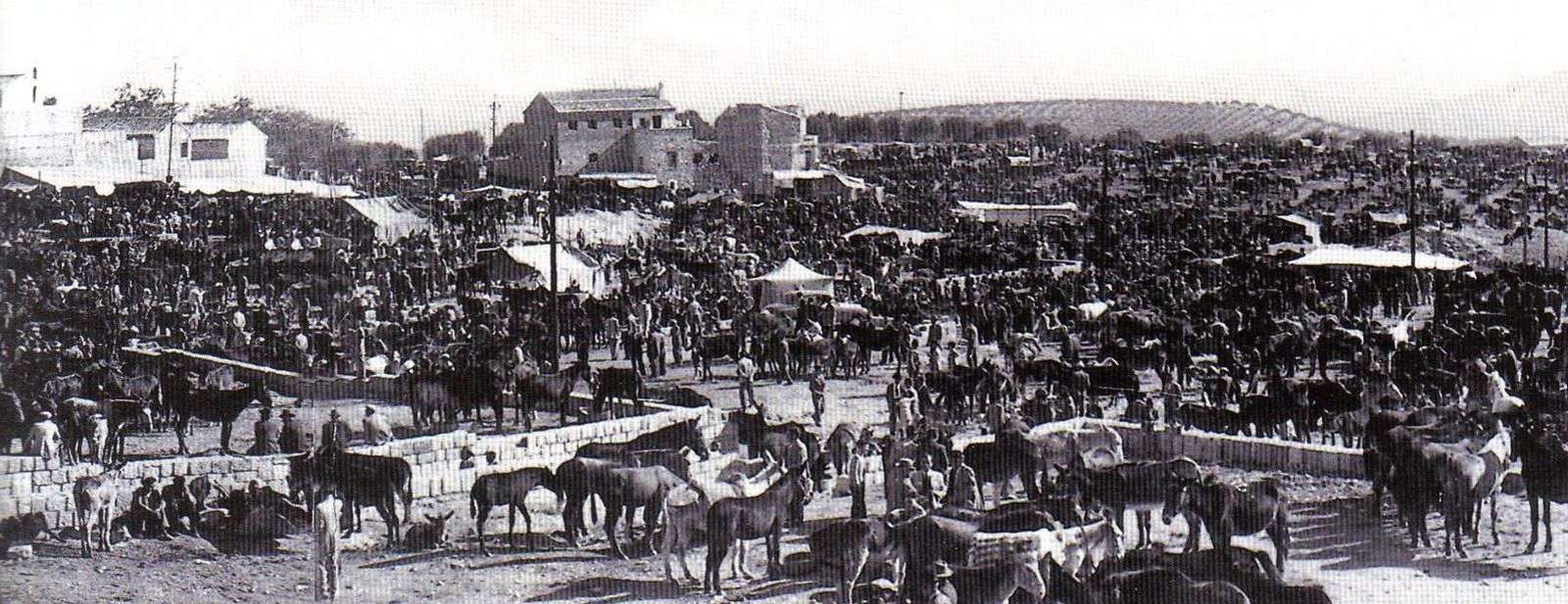 Antigua Feria de Ganado de Jaén en los años 40.