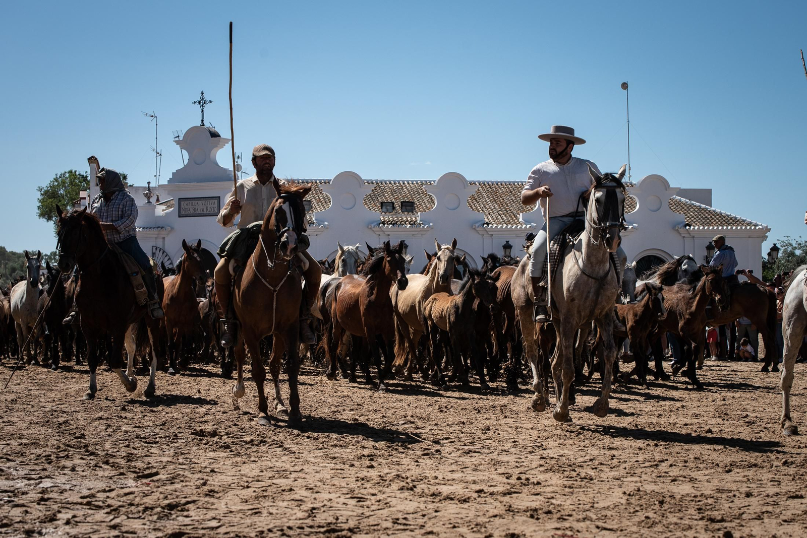Imágenes de la Saca de las Yeguas a su paso por El Rocío