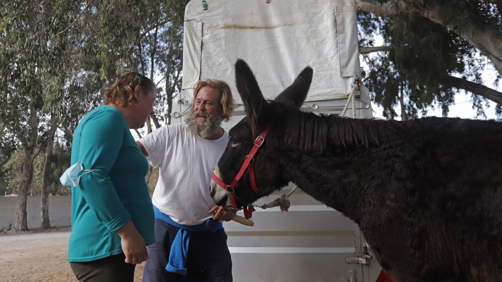 Sesión  de burroterapia con usuarios de Asansull en Palmones