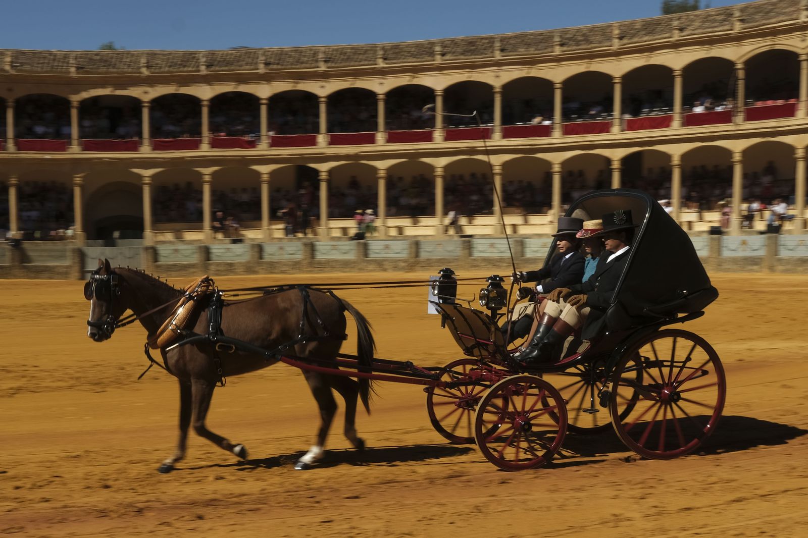 Concurso de enganches de Ronda, en fotos.