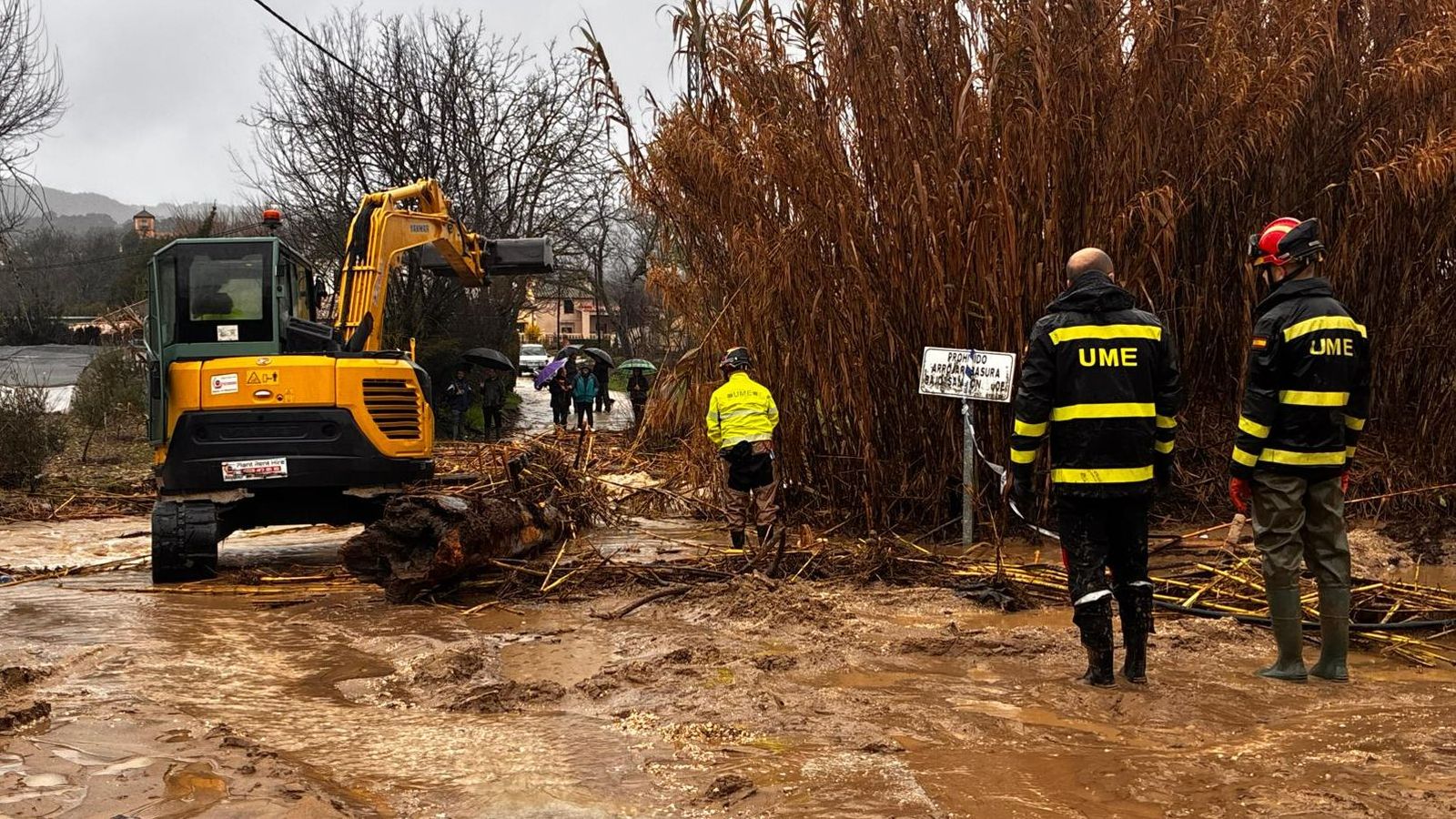 Efectivos de la UME en la zona de Pelistre.