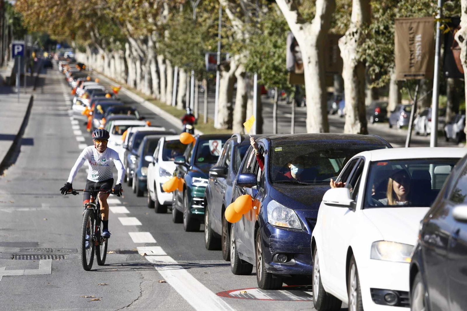 Fotos de la manifestación en Málaga contra la Ley Celaá