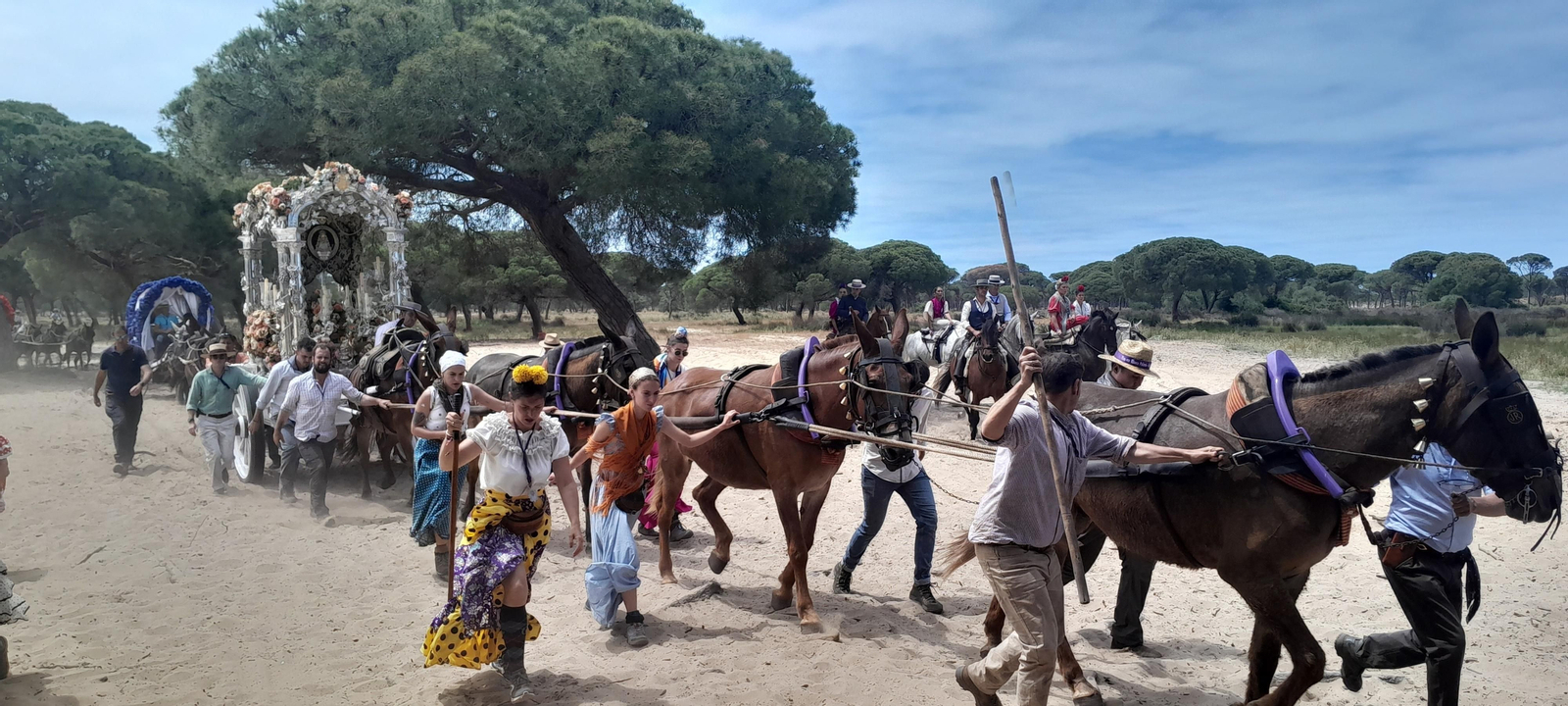 Imágenes de la Hermandad del Rocío de Jerez el viernes camino de la Aldea