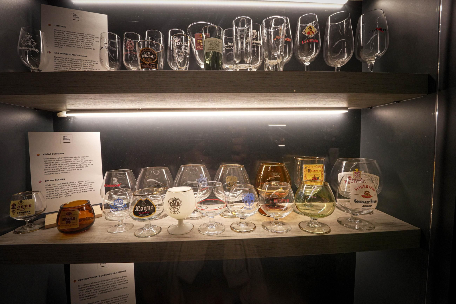 Así es el nuevo Palacio San Dionisio de Jerez