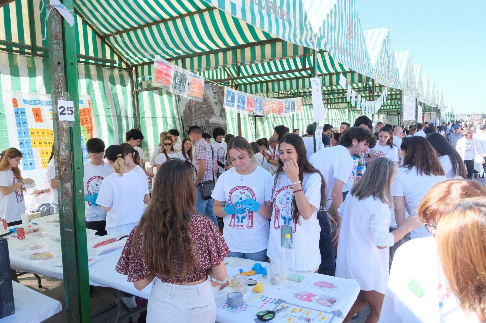 El Paseo por la Ciencia de Córdoba, en imágenes