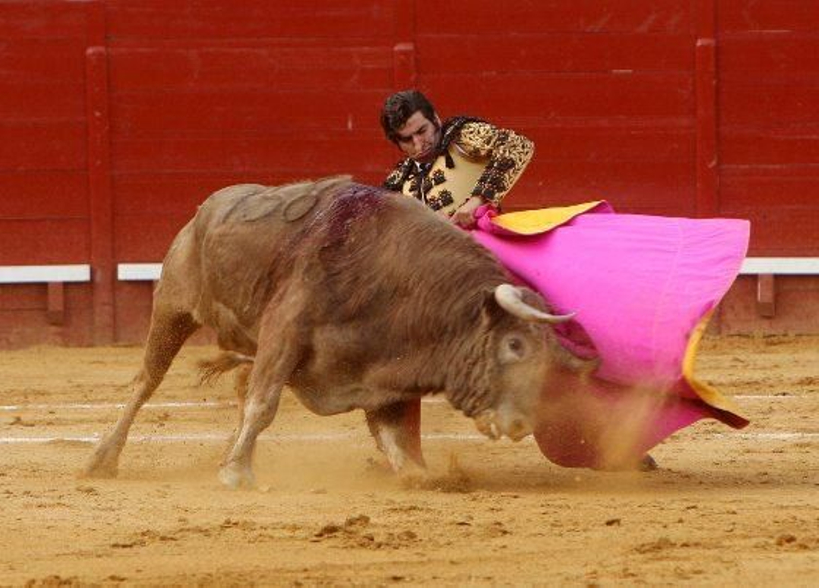 El diestro José Antonio "Morante de la Puebla" protagoniza una actuación magistral, en el cuarto festejo de la Feria del Caballo de Jerez, al cortar dos orejas, que pudieron ser más de haber estado más acertado con los aceros. 

Foto: Juan Carlos Toro