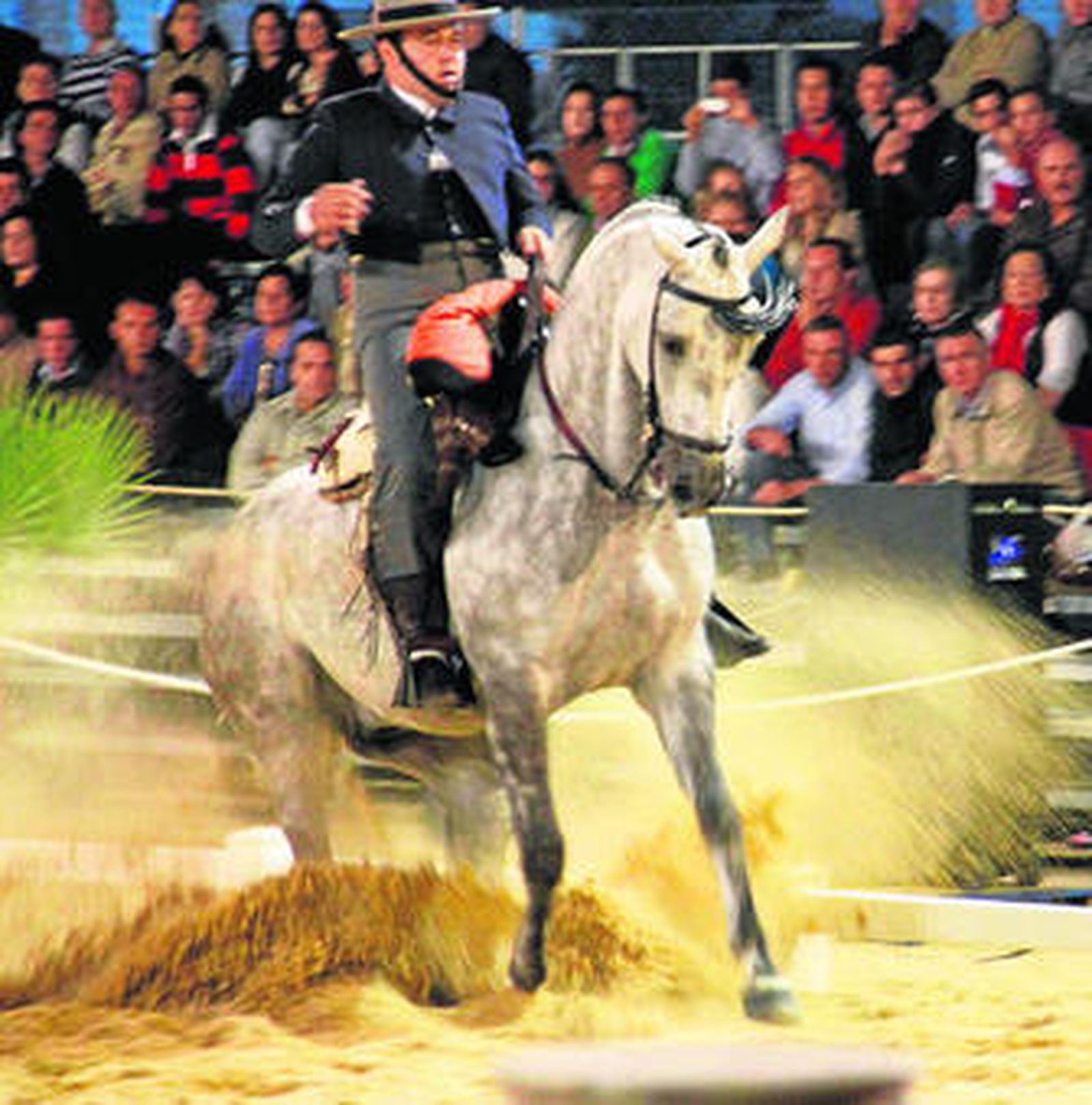 El sevillano Rafael Arcos, montando a 'Babieca', realiza una parada que mereció una gran puntuación.