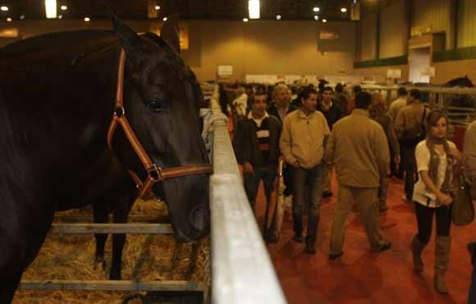 La hermana de Michael Jackson ha compartido espacio en el Sicab con otros famosos del panorama nacional tales como Cayetana de Alba o Juan Antonio Ruiz 'Espartaco'

Foto: Jose Angel Garcia