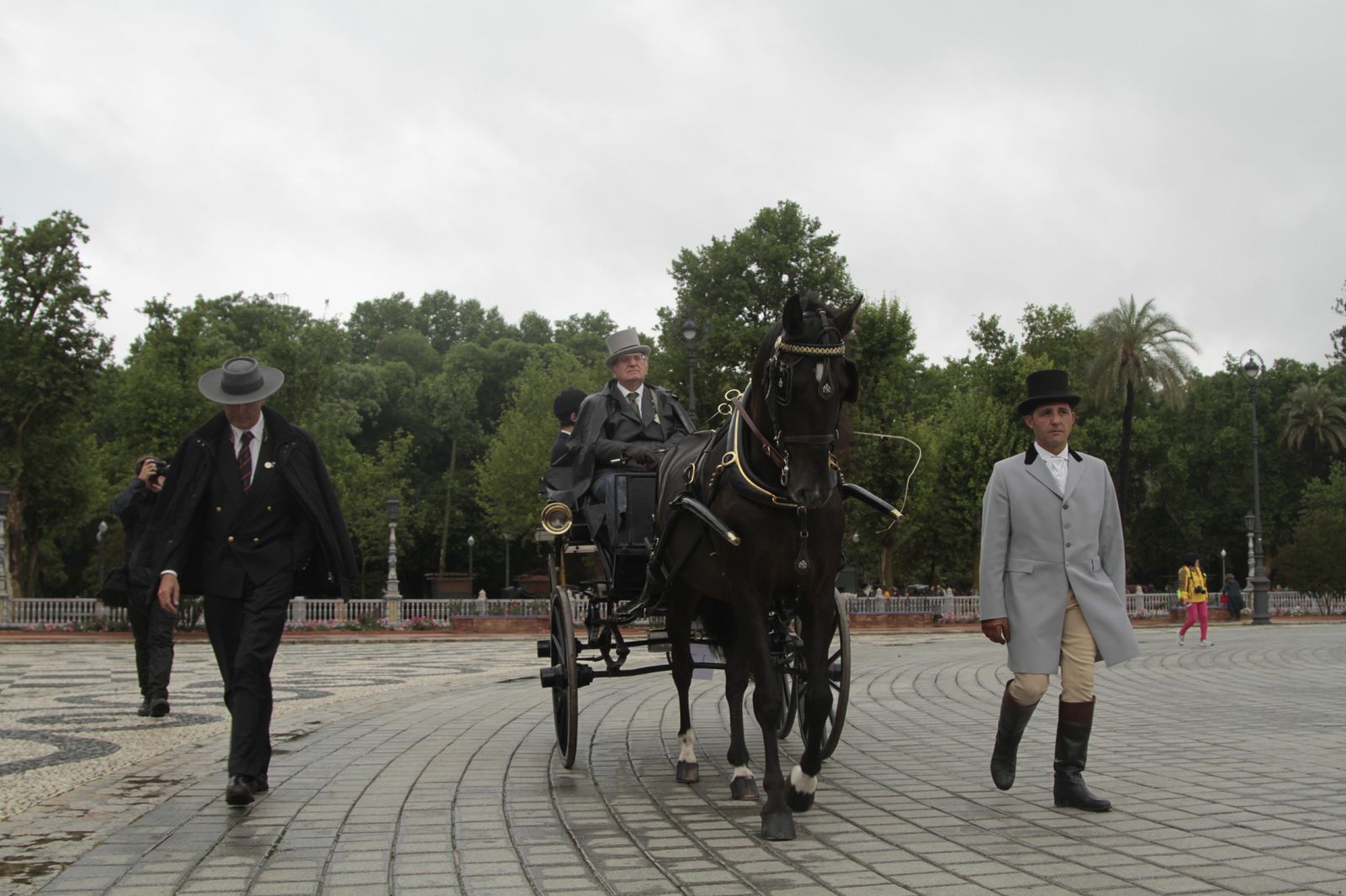 Los mejor del Concurso Internacional de enganches de Sevilla