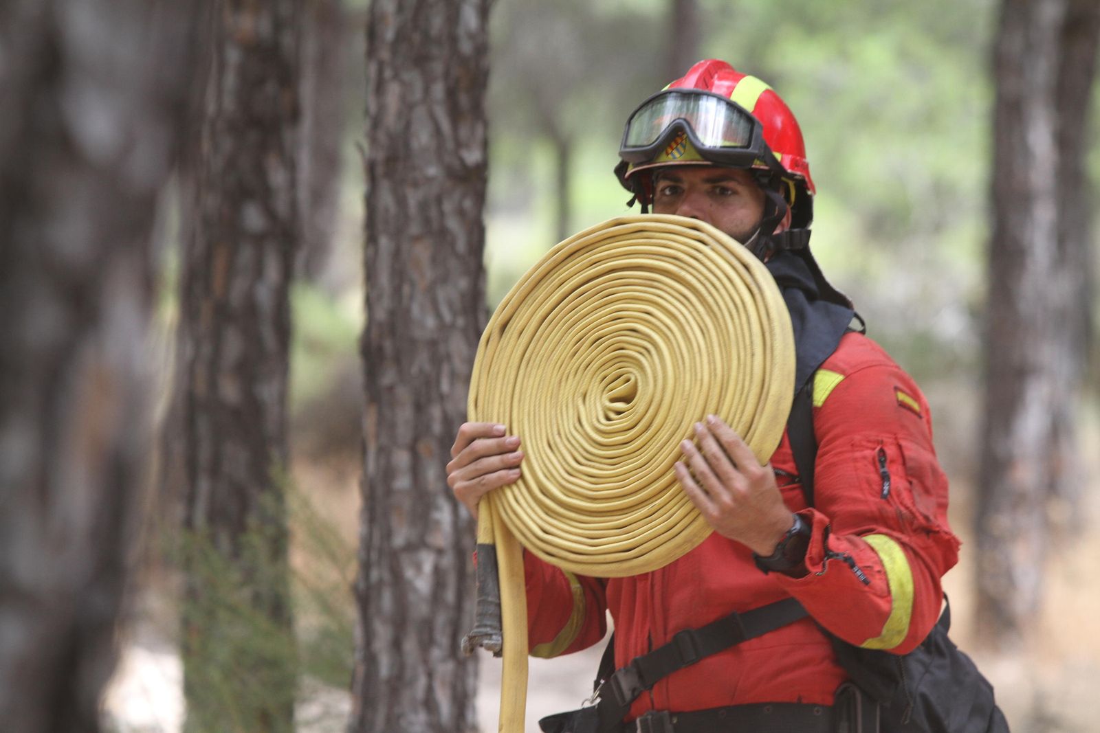 Las imágenes del incendio en Moguer y Mazagón