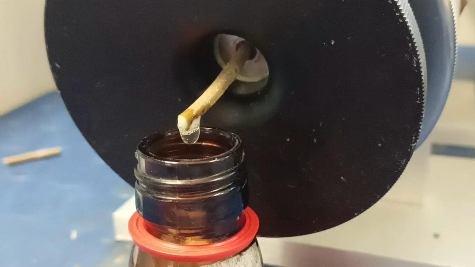 WhatsApp Image 2023-09-25 at 13.15.59