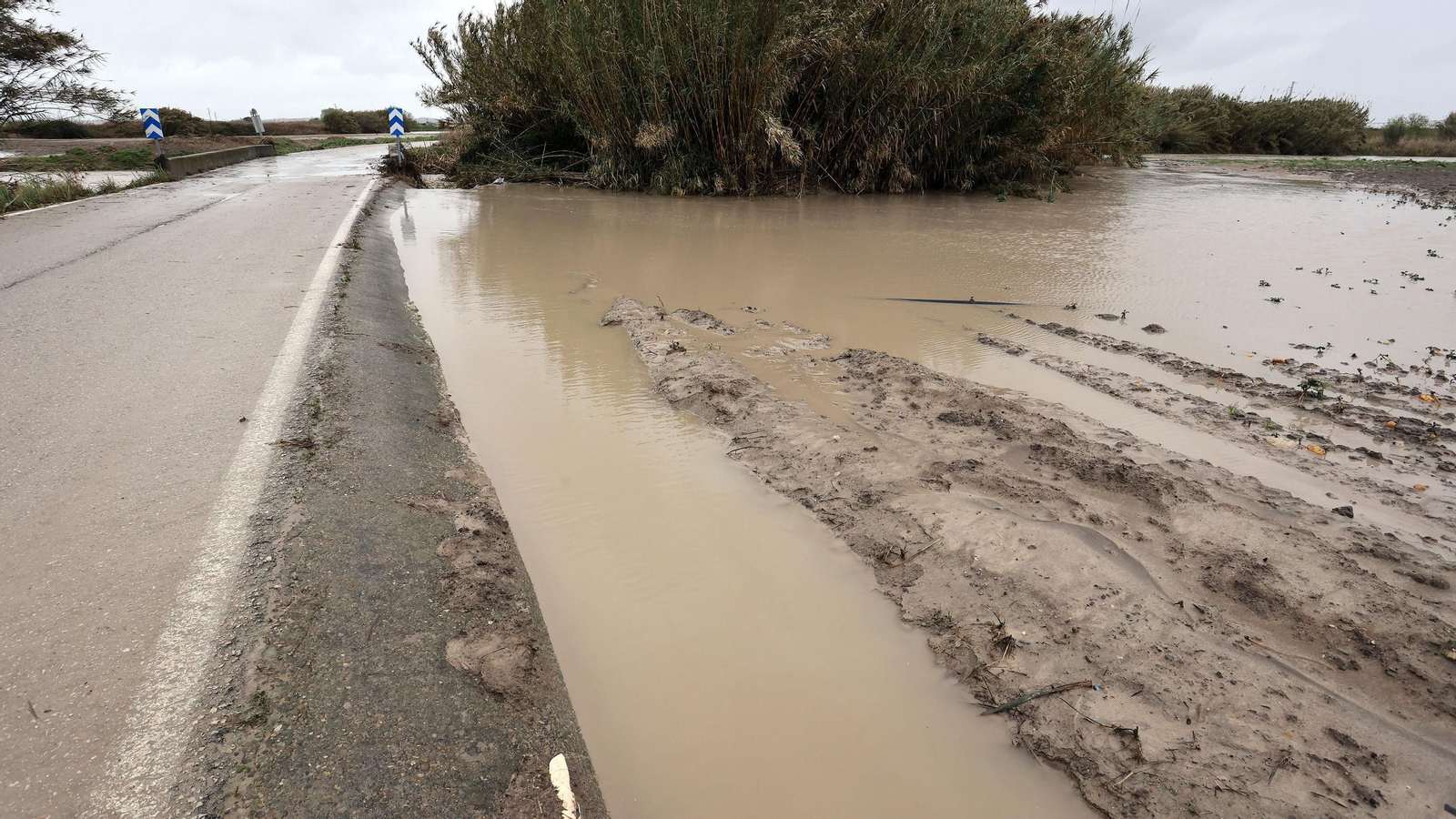 Imágenes del temporal de viento y lluvia en Jerez