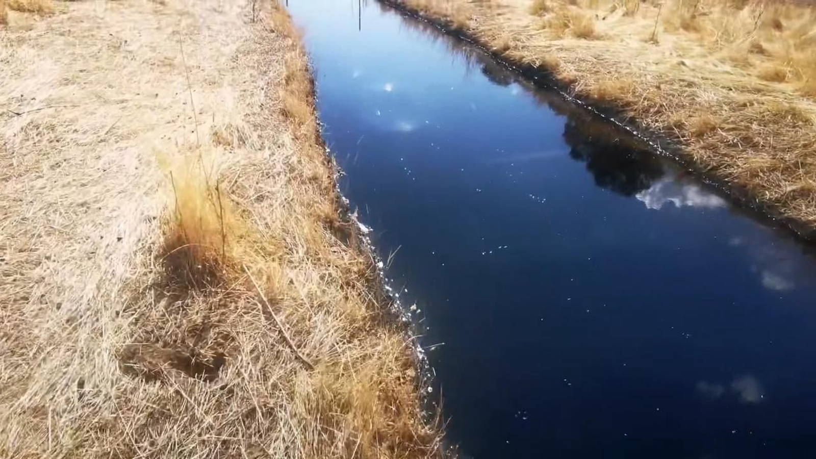 Vertido en el arroyo próximo a la orujera Bioland Energy en La Carolina