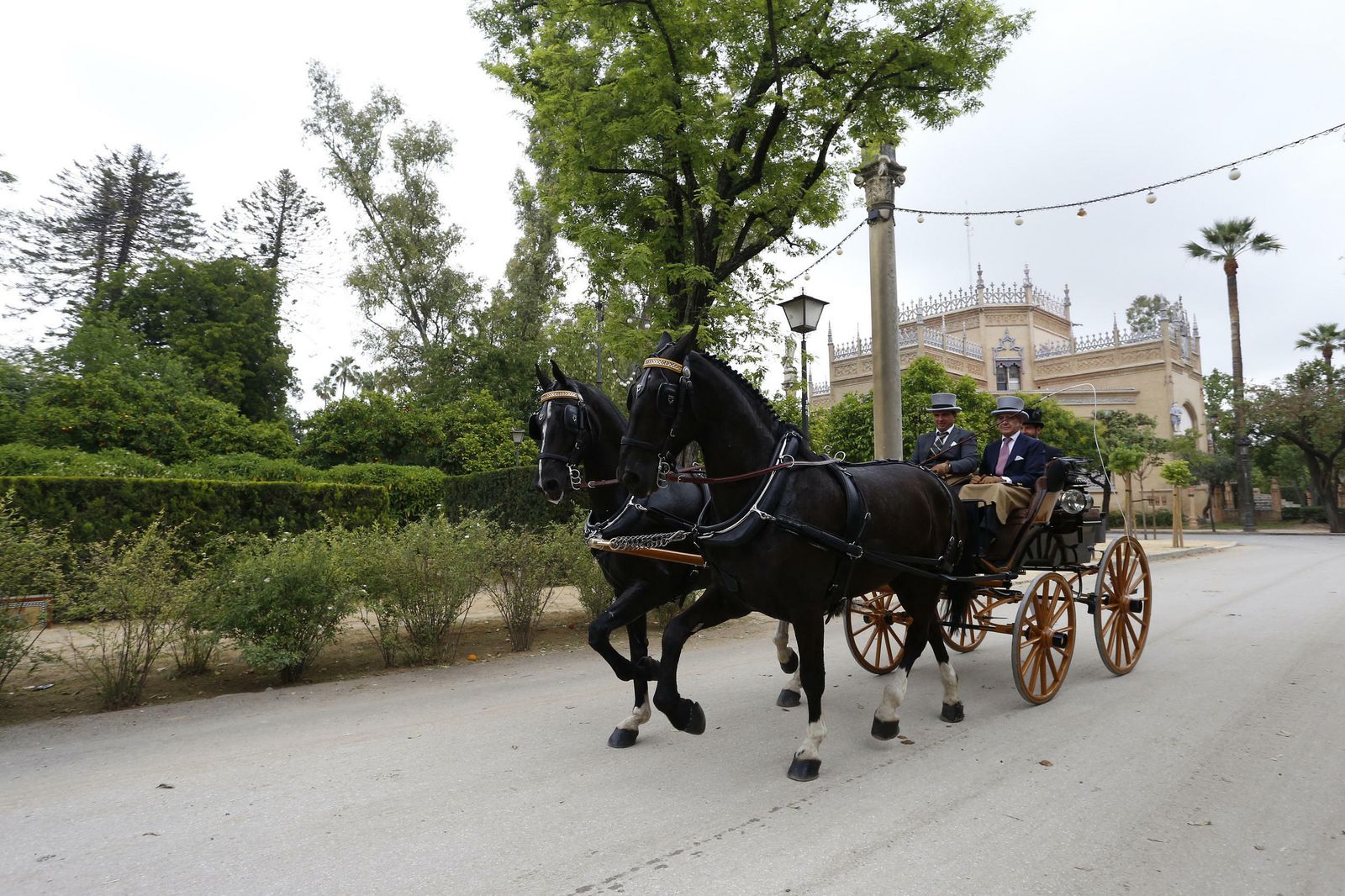 El concurso de enganches, en imágenes