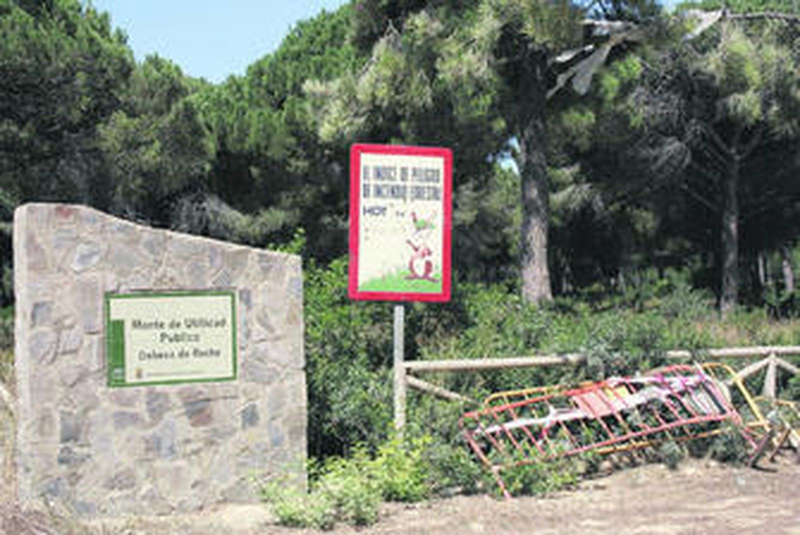 El abandono de la zona se hace palpable en esta imagen con material tirado y mucha vegetación.