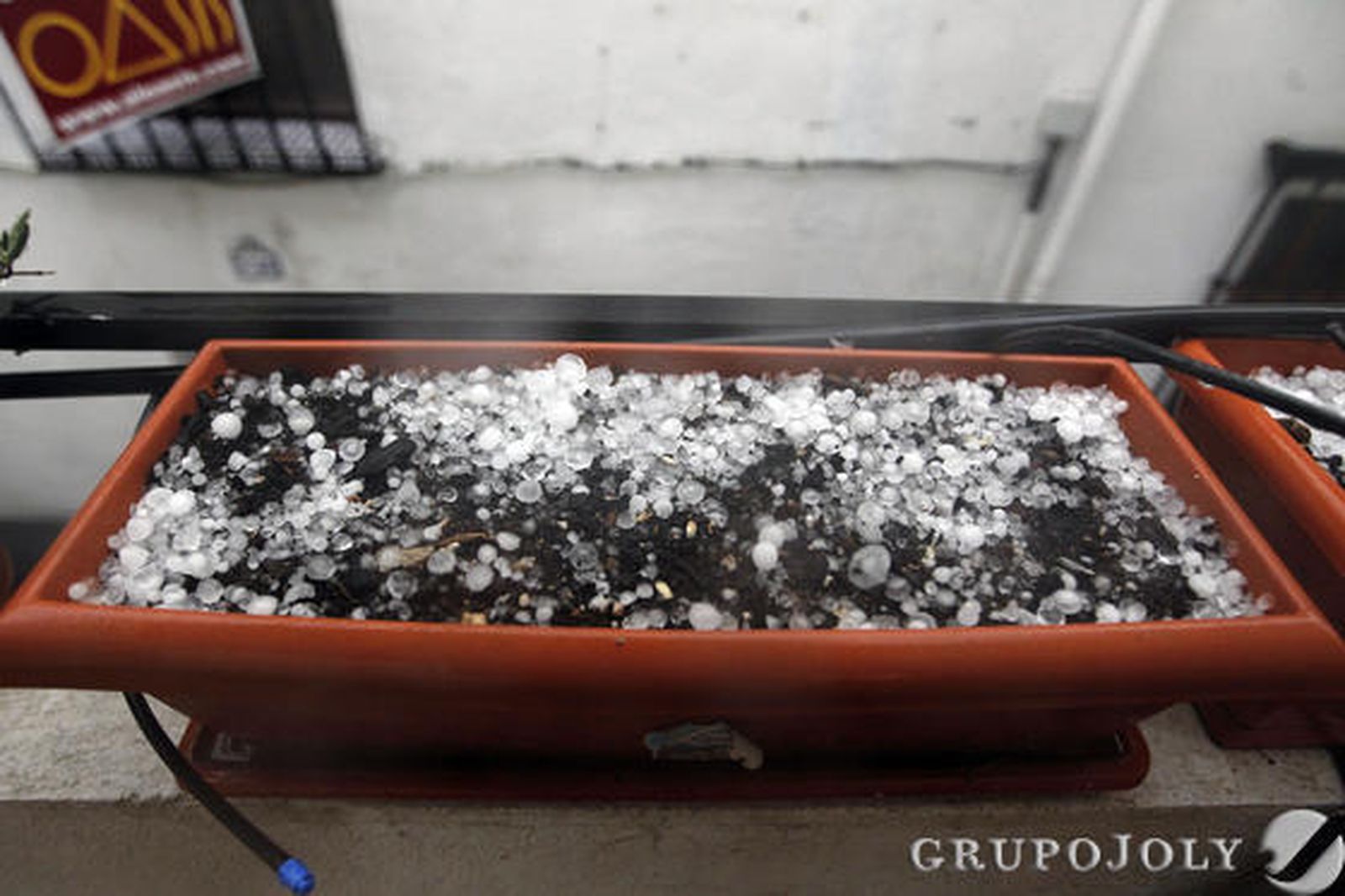 Foto: Pepe Villoslada