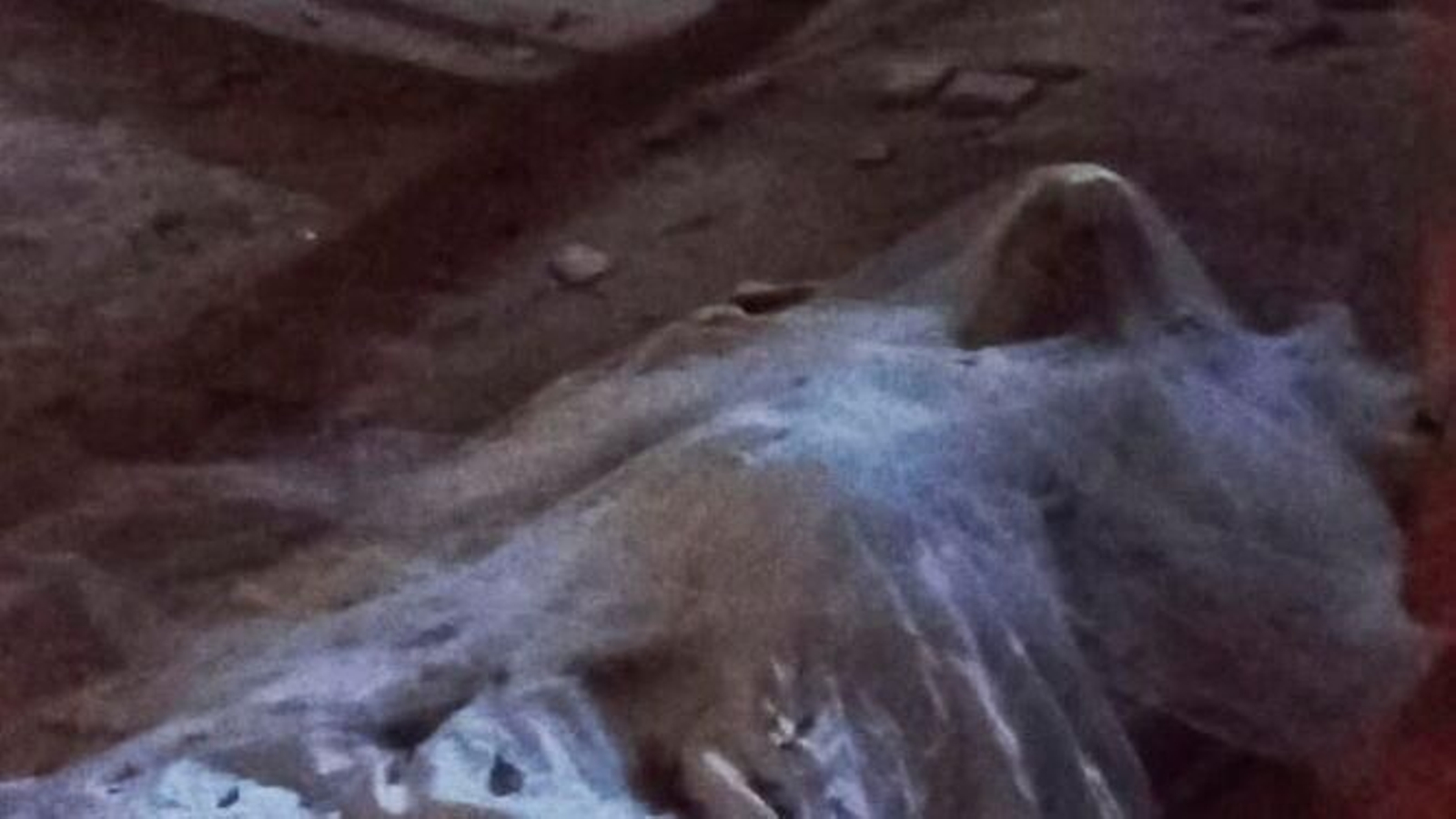 Detalle de la primera instalación de Lafita.