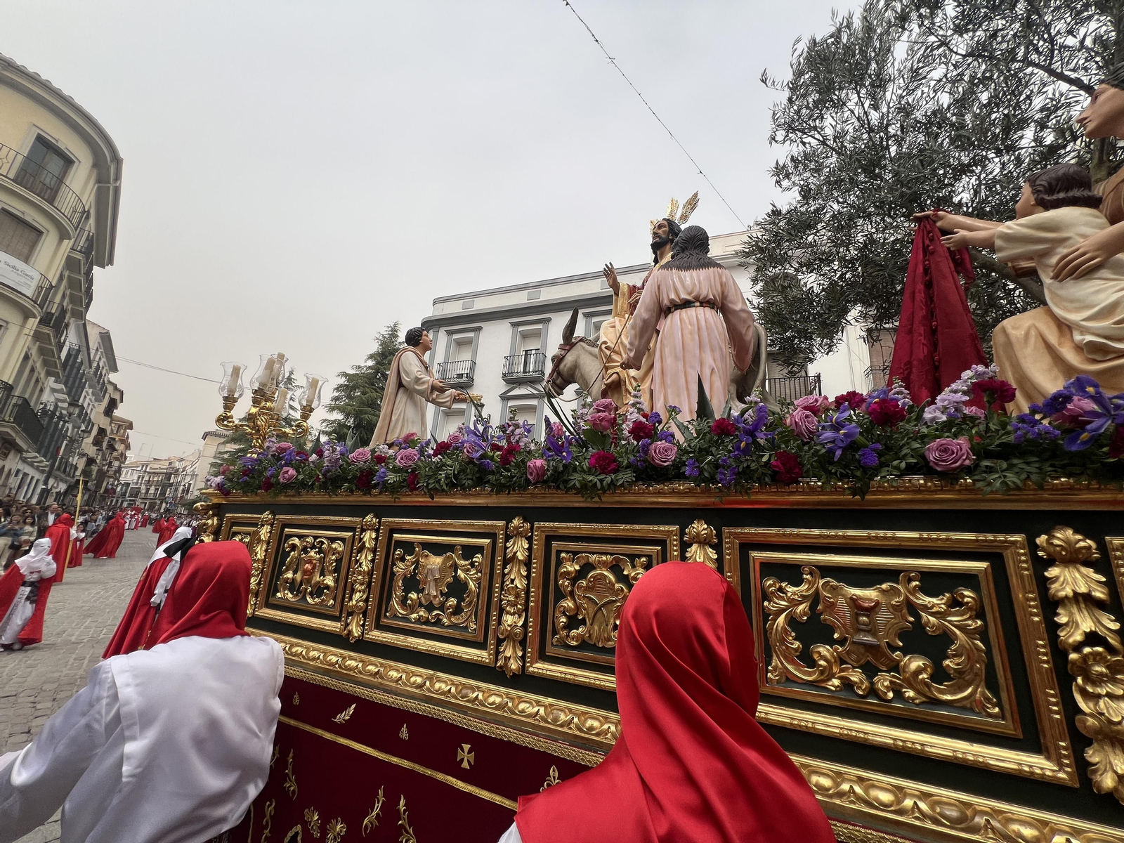 La procesión de La Pollinica de Priego de Córdoba el Domingo de Ramos 2024, en imágenes