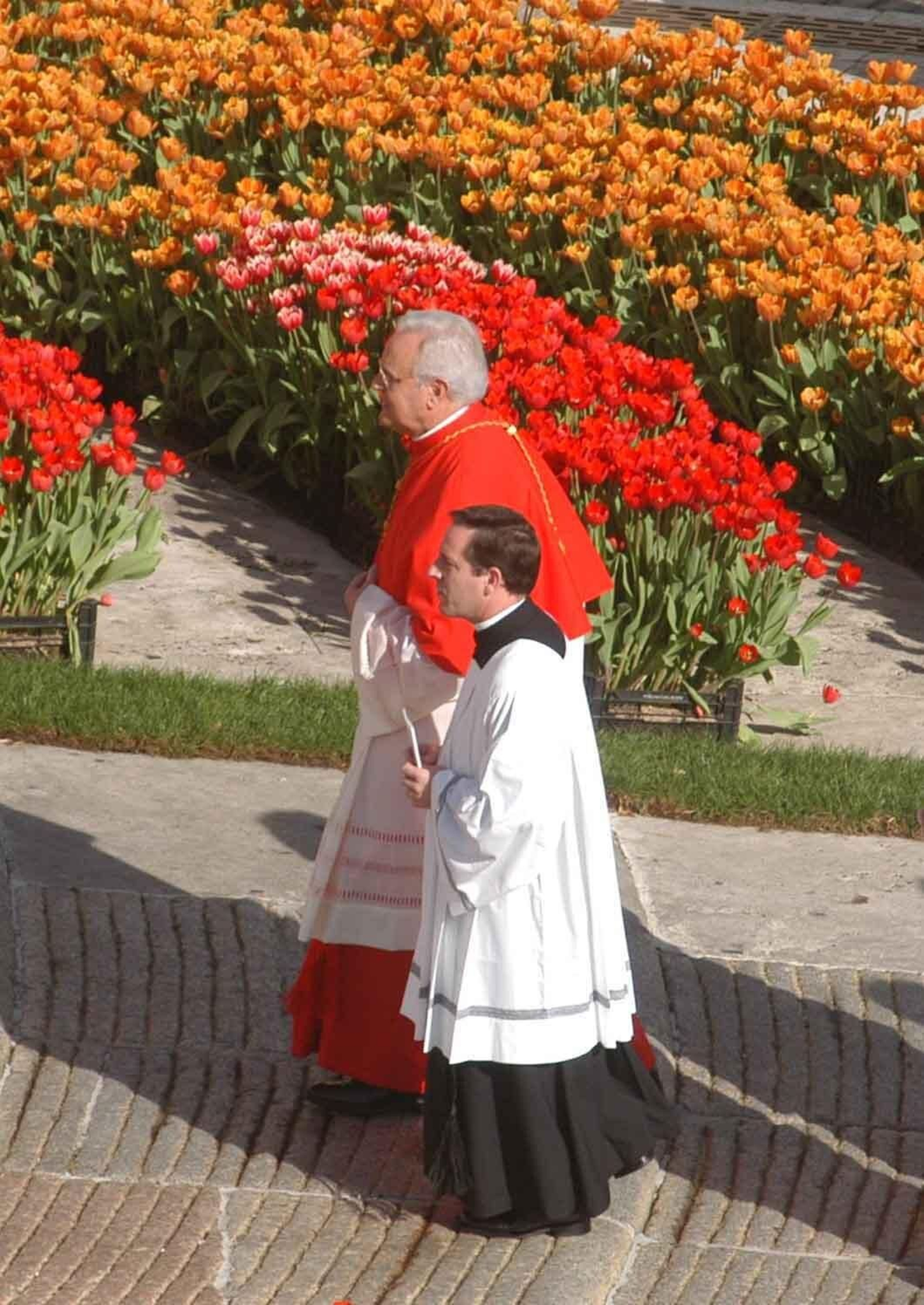 El cardenal y Pablo Noguera