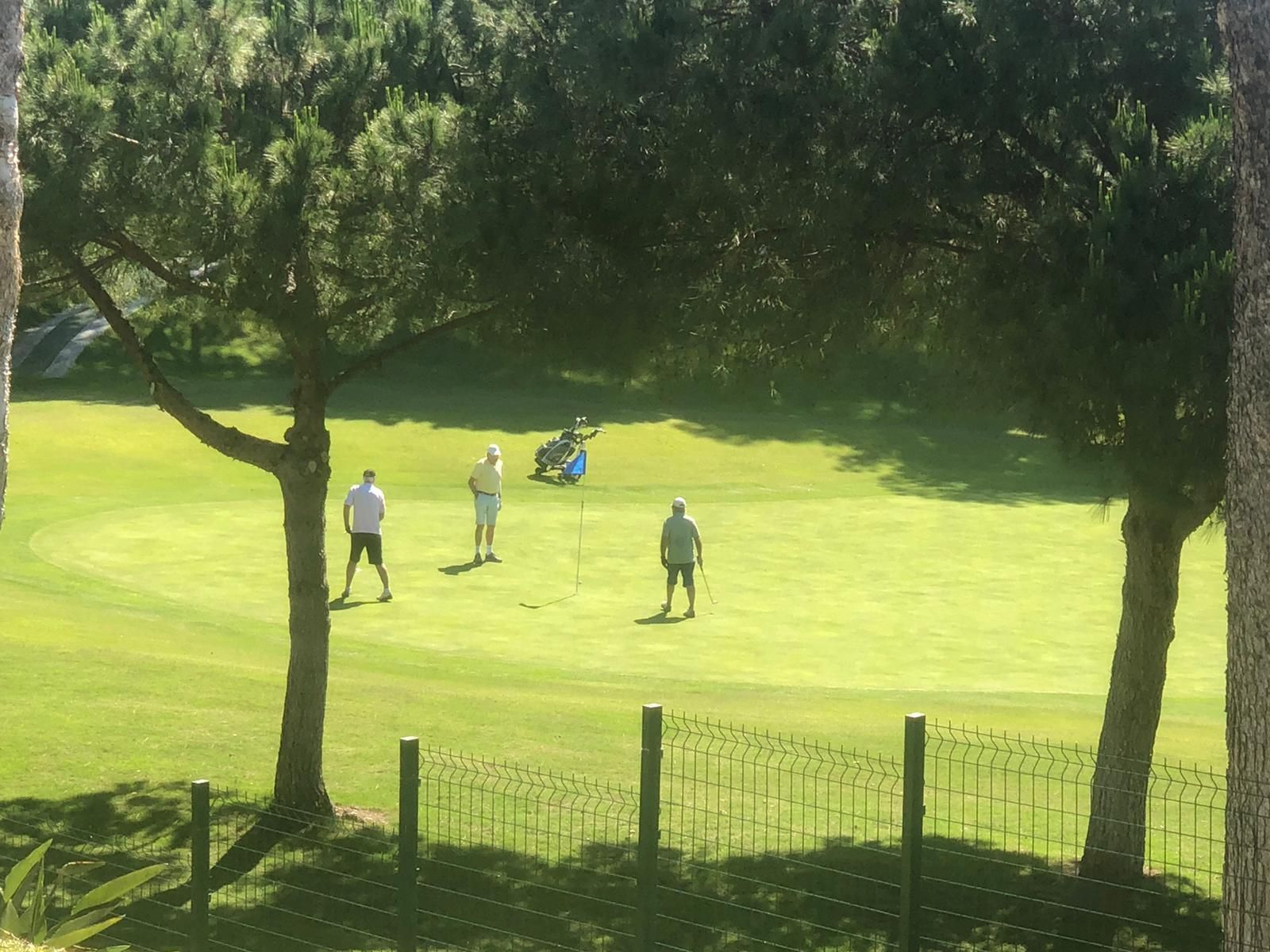 Un campo de golf de Marbella. Un campo de golf de Marbella.