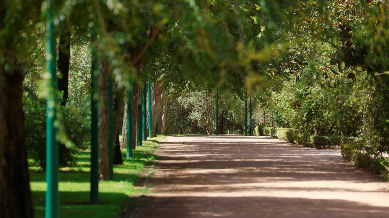 Un sendero del Parque Cruz Conde.