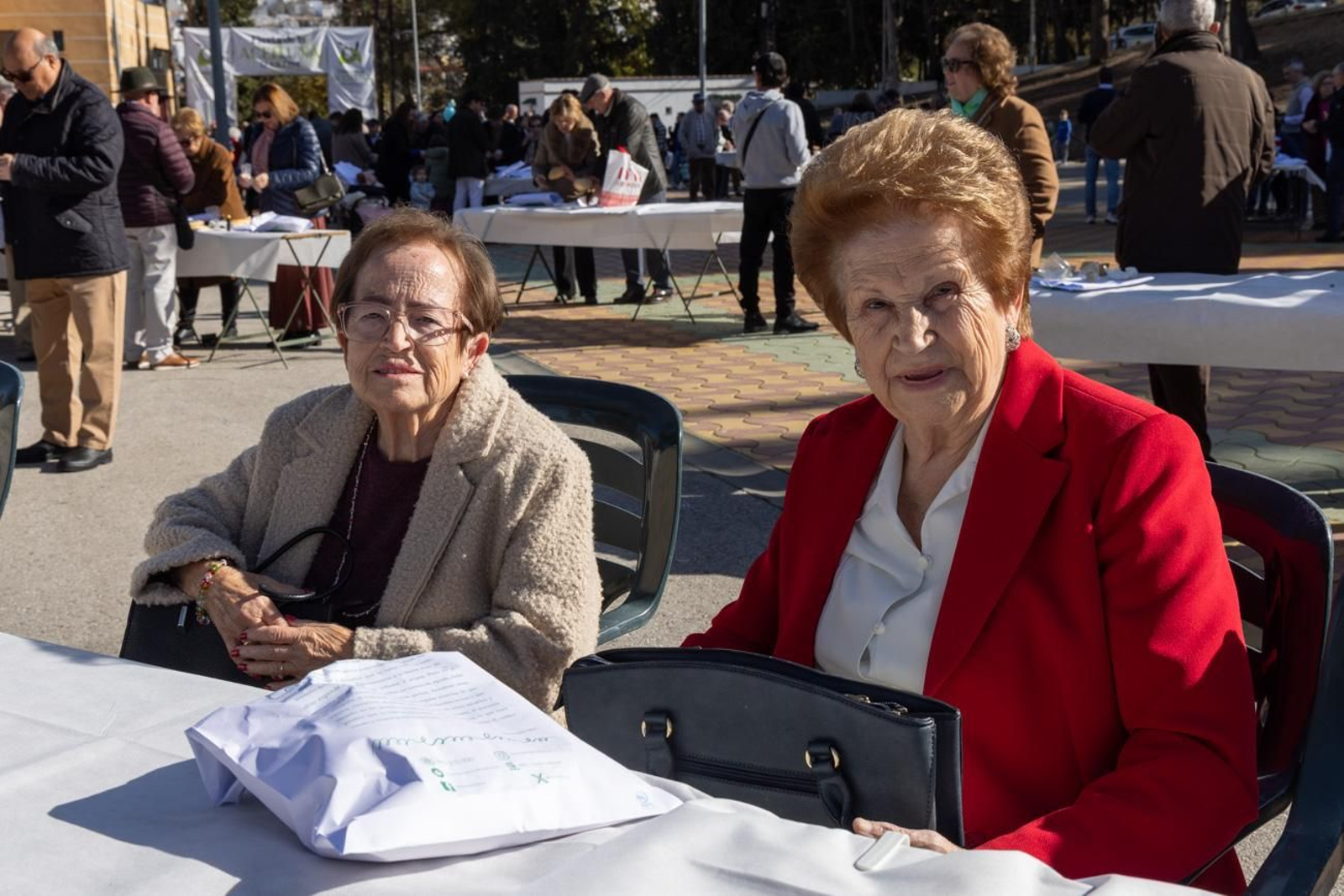 XLV Fiesta de la Aceituna en Martos