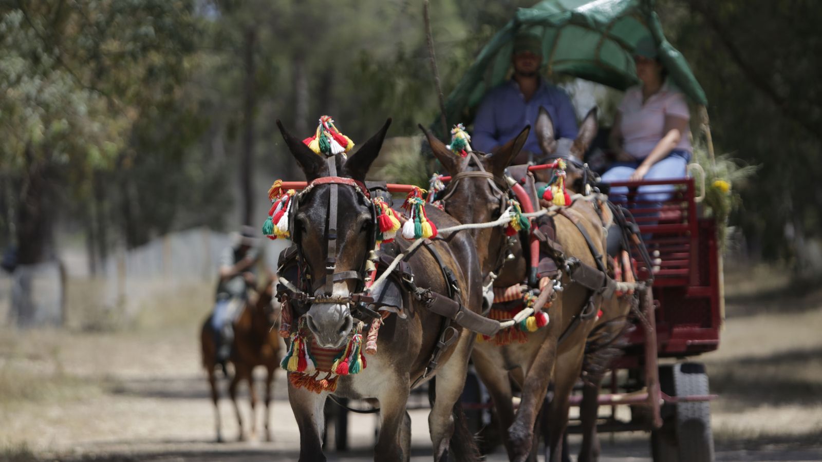 Imágenes de un viernes de Rocío sin romería