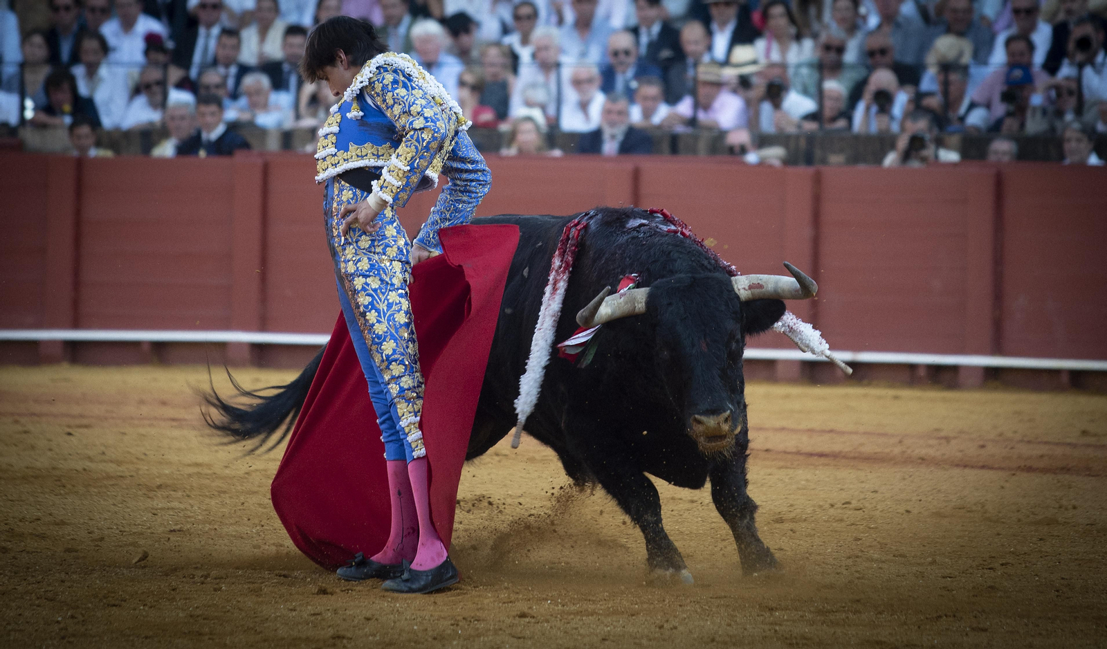 Las mejores imágenes del duodécimo festejo de toros