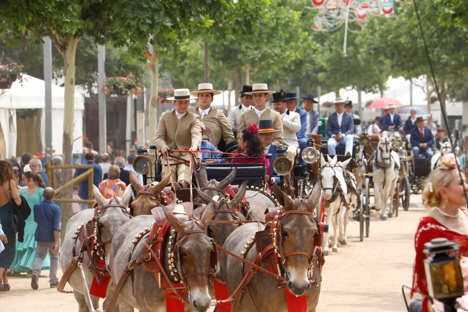 El primer Sábado de Feria de Córdoba 2023, en imágenes