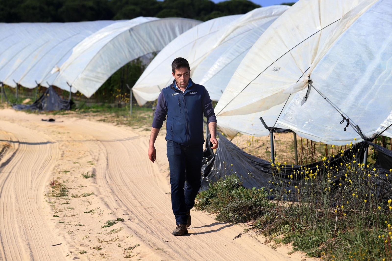 Imágenes de la realidad del trabajo en el campo