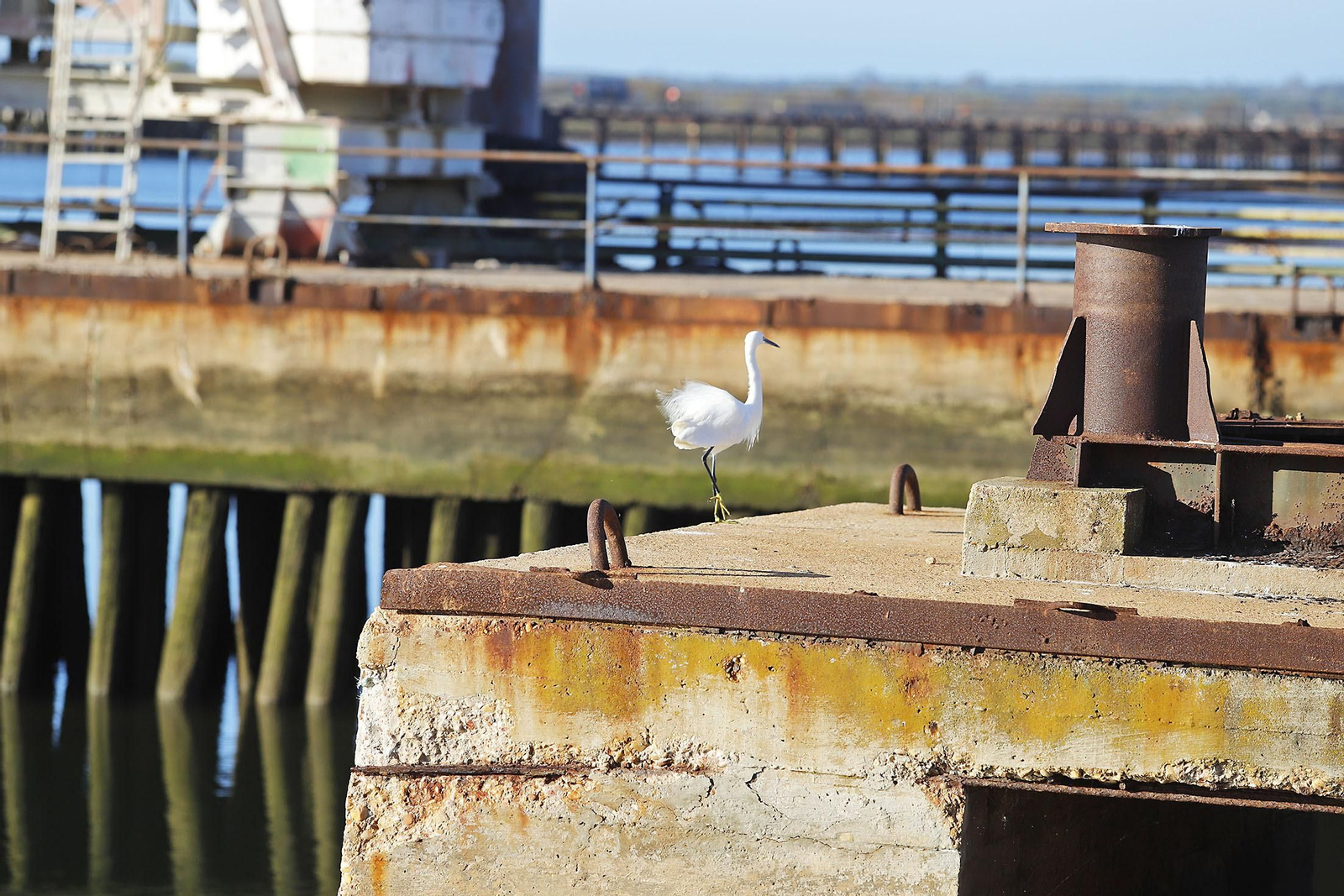 Imágenes de la visita a las instalaciones de Nuevo Astillero de Huelva.