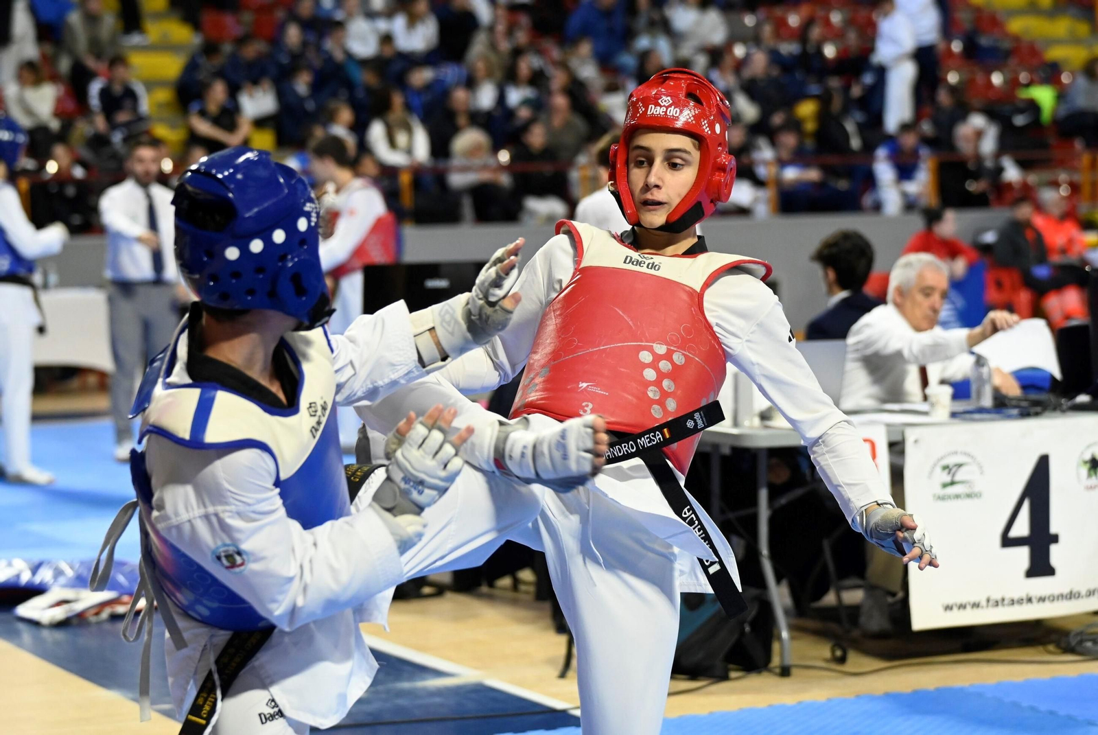 Las mejores fotos del Open Internacional de Andalucía de taekwondo en Córdoba