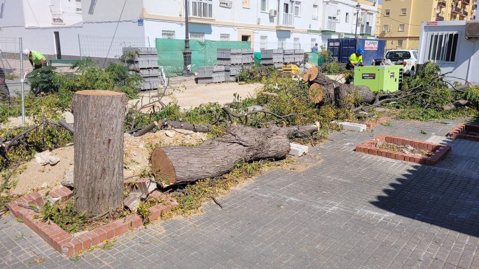 Otra imagen de los árboles cortados.