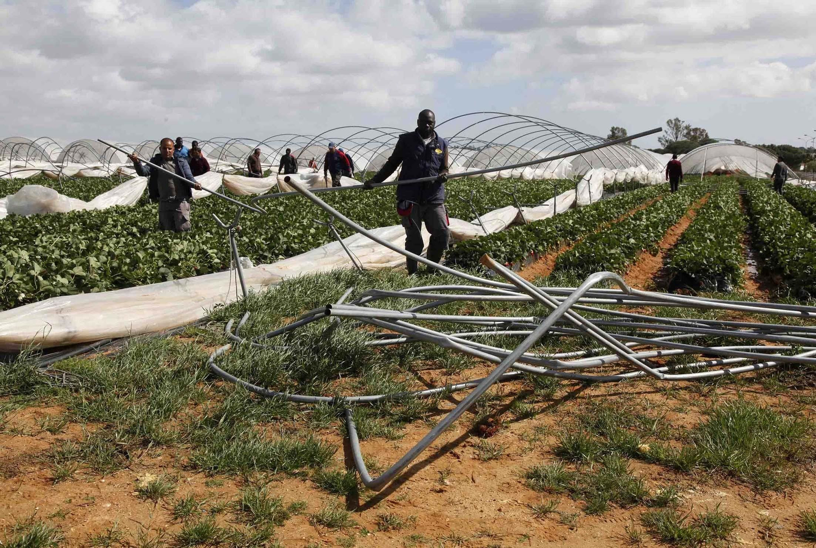 Efectos del tornado que llegó a Huelva el pasado mes de marzo.