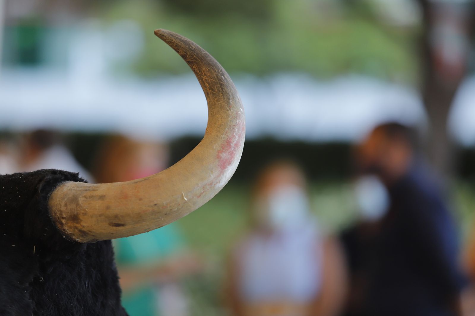 El diestro Daniel Luque lleva a cabo la 'Escuela de Toreo en las calles de Huelva'