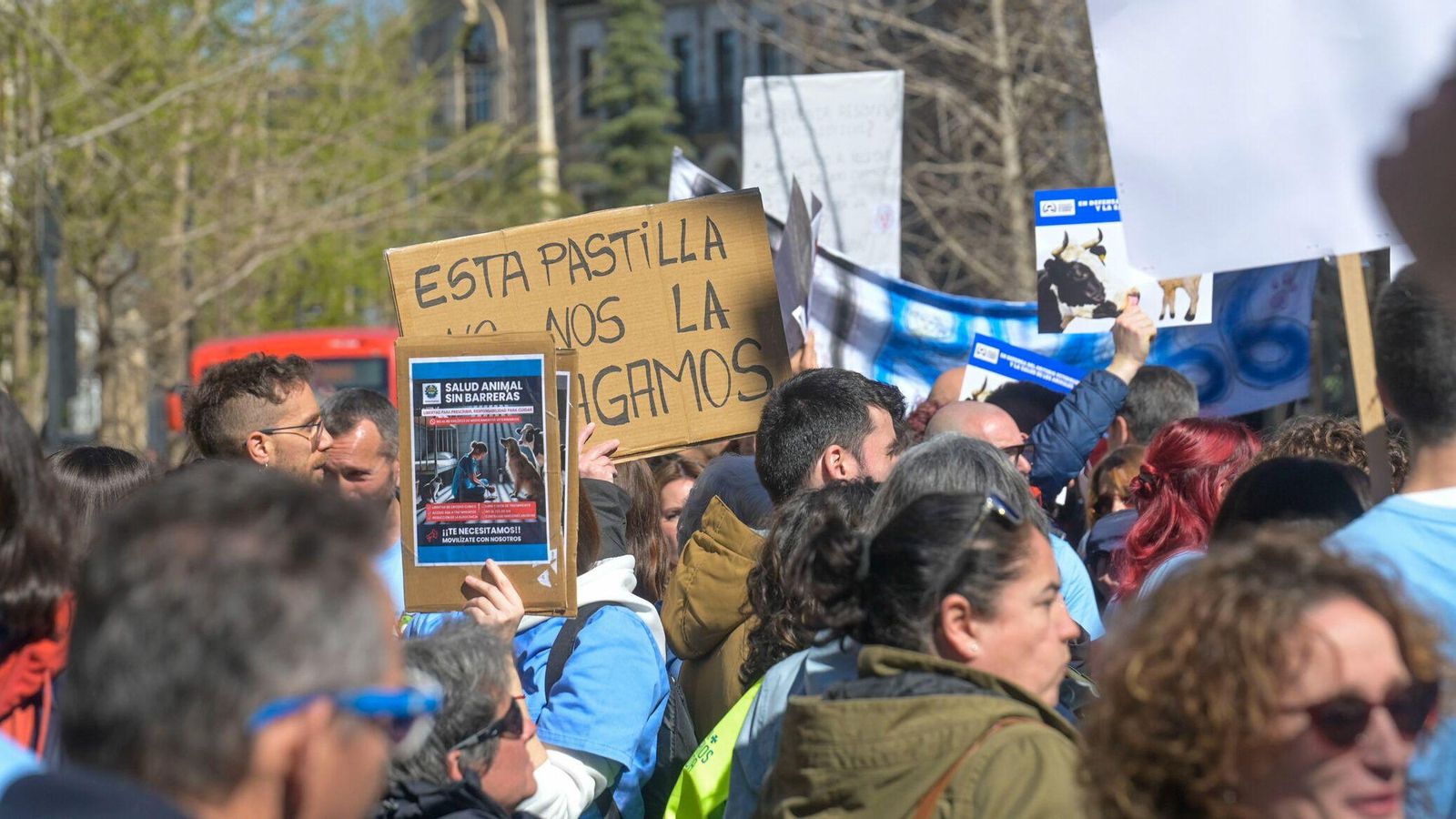 Concentración en defensa del criterio veterinario y la salud de los animales frente a la Subdelegación del Gobierno en Granada