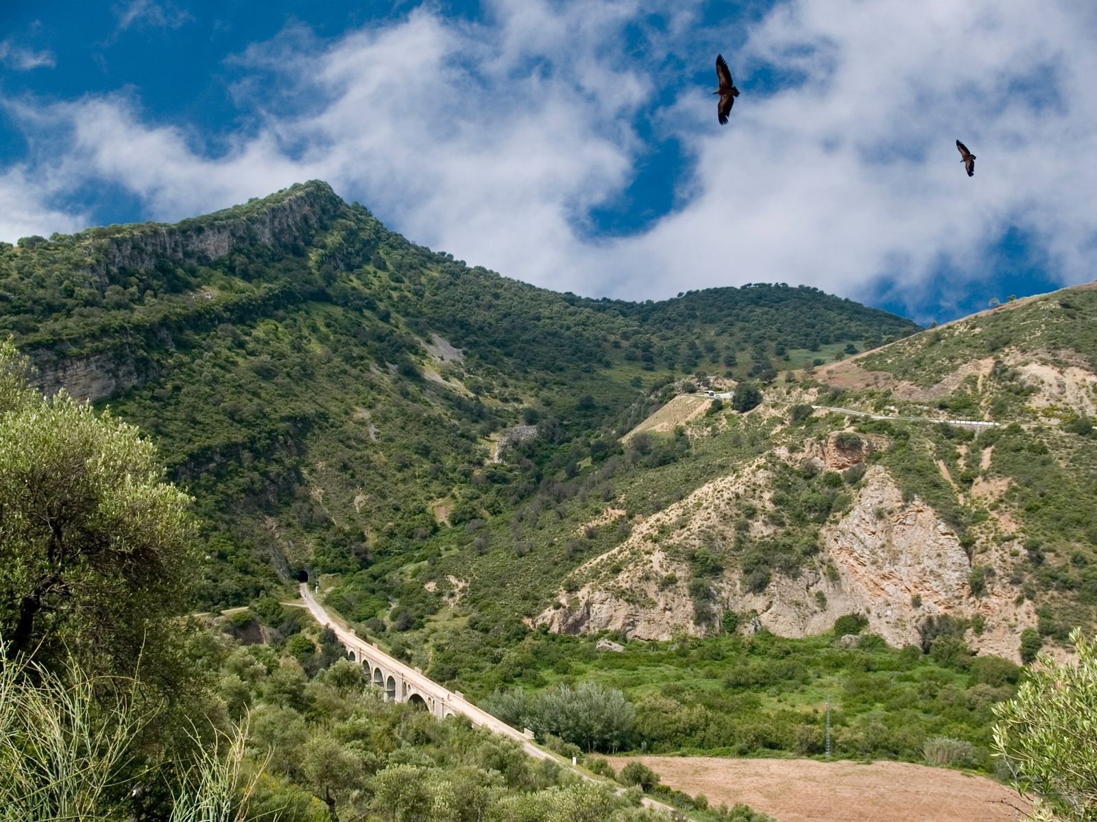 Una vista de un tramo de la Vía Verde de la Sierra.