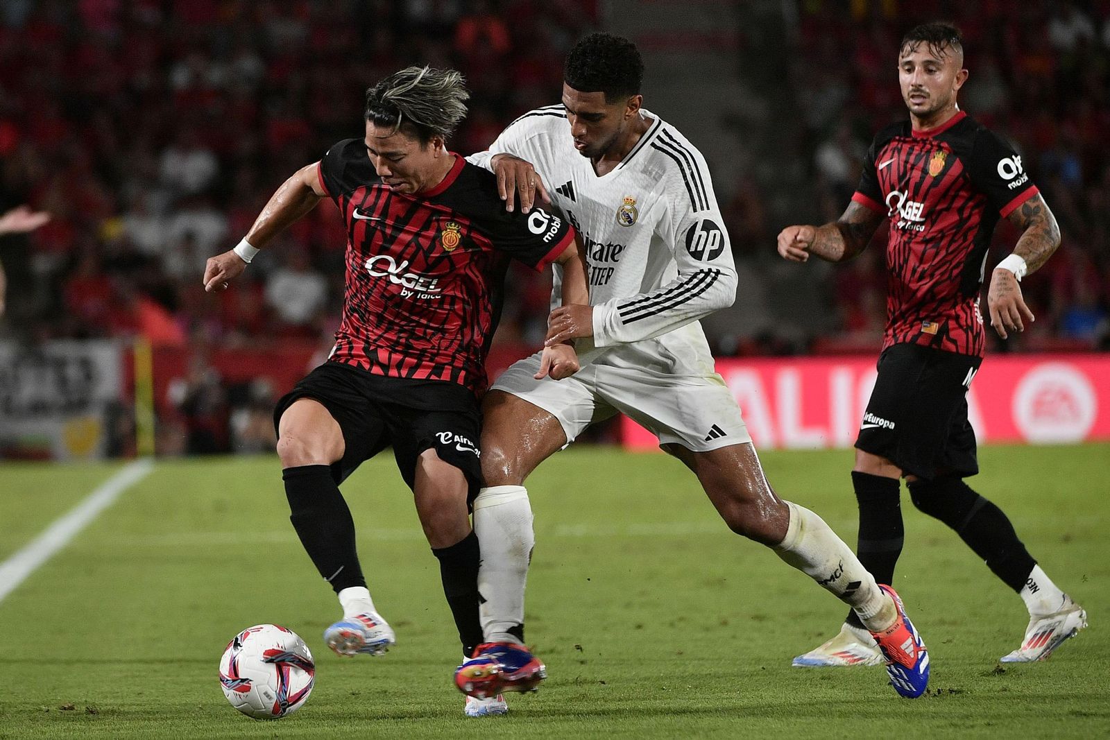 Las imágenes del Mallorca - Real Madrid